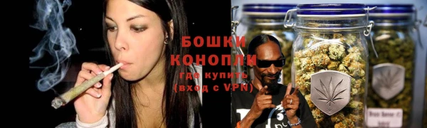 стафф Верхний Тагил