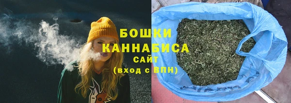 гашик Бородино