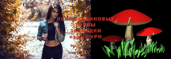 мдпв Володарск
