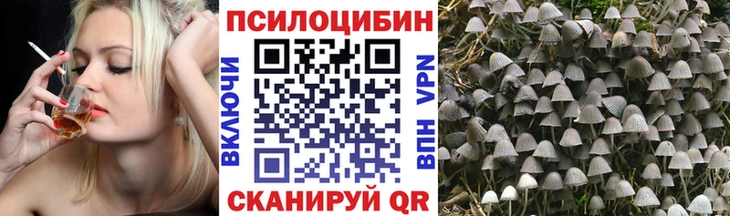 Купить закладки  Онега  Галлюциногенные грибы мухоморы 